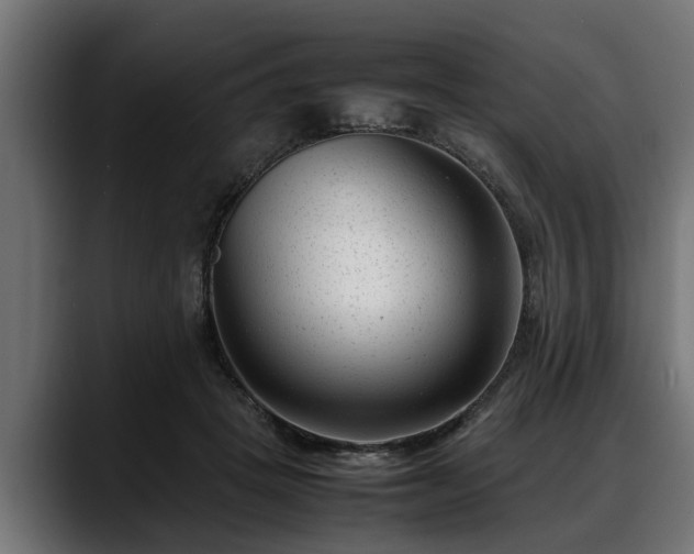 X0000088360457200705291311