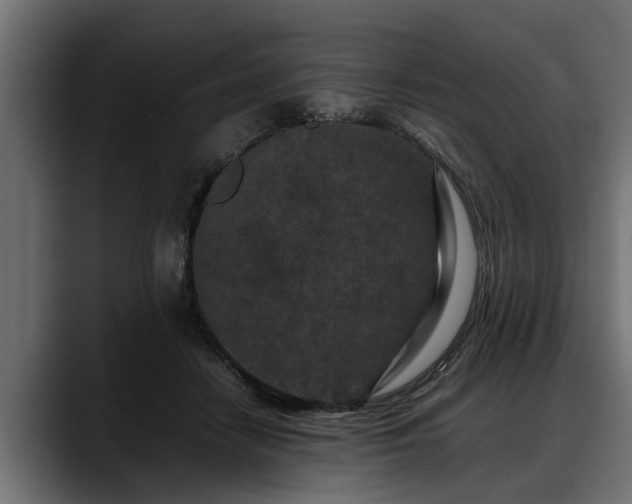 X0000088360458200705291311