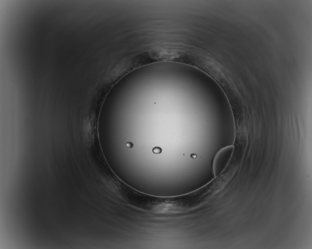 X0000088360460200705291311