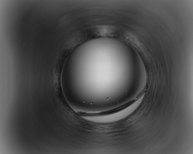 X0000088360461200705291311