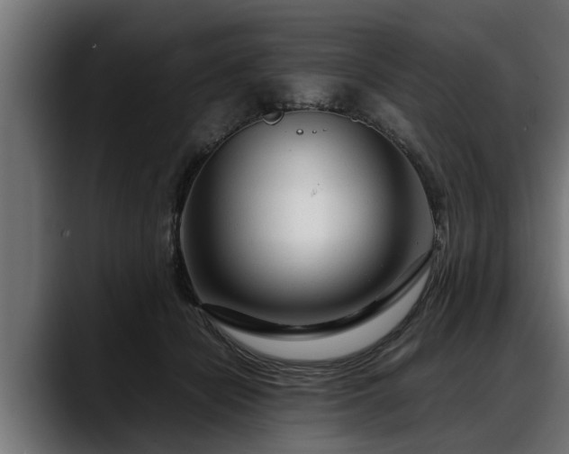 X0000088360462200705291311