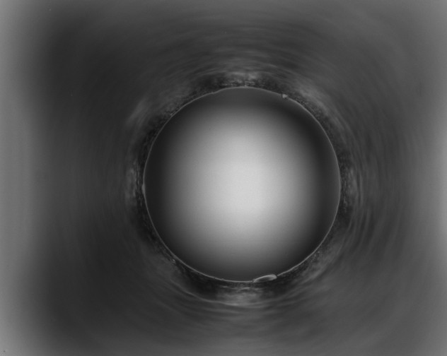 X0000088360463200705291311