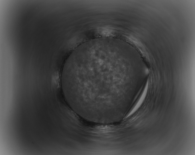 X0000088360465200705291311