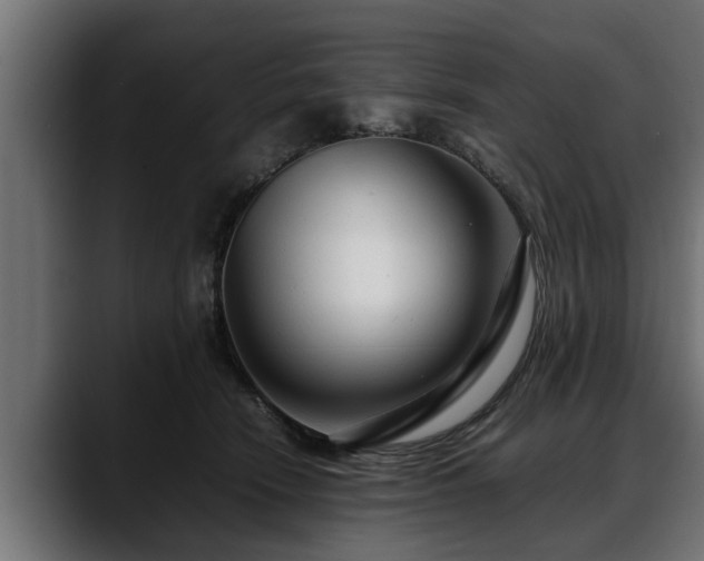 X0000088360466200705291311