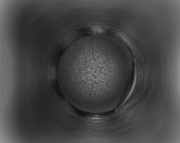 X0000088360467200705291311