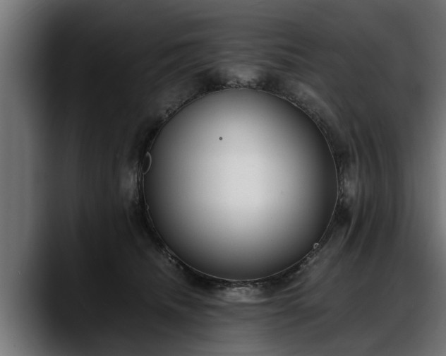 X0000088360468200705291311