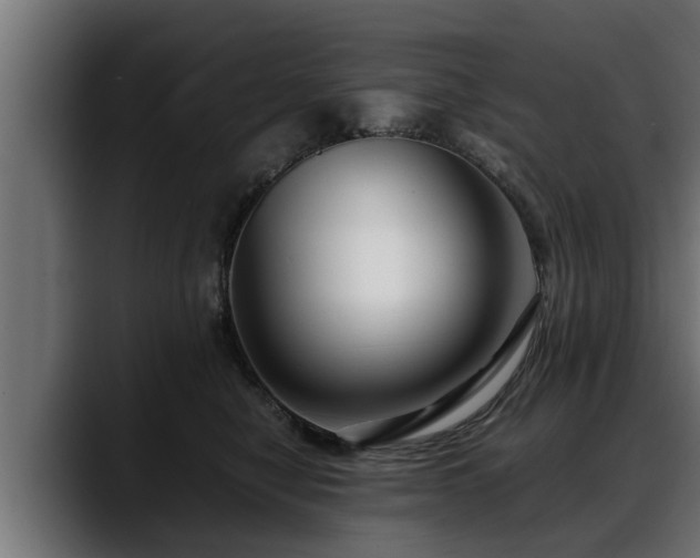 X0000088360470200705291311