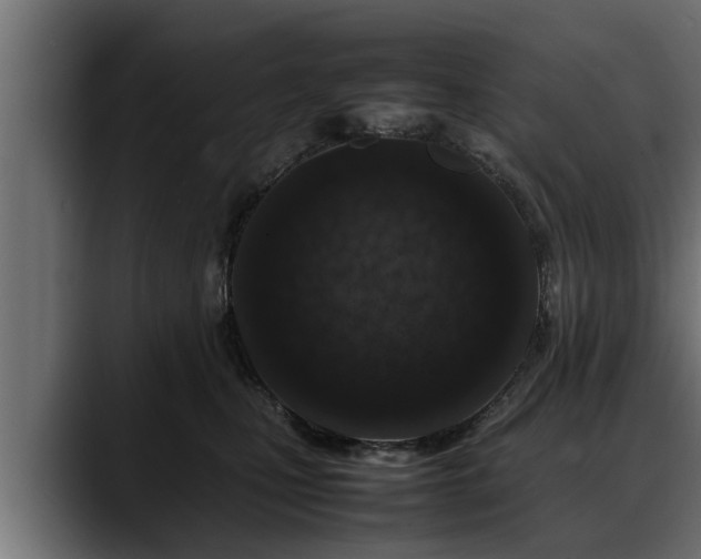 X0000088360471200705291311