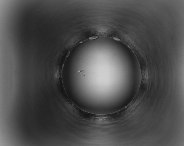 X0000088360472200705291311