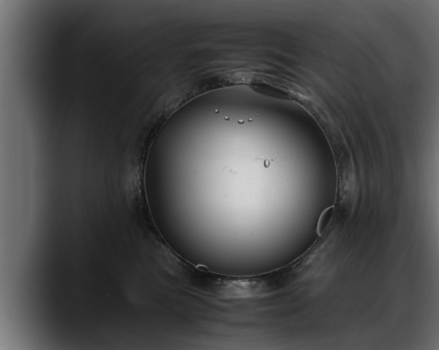 X0000088360473200705291311