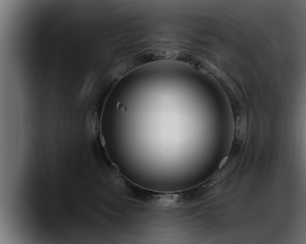 X0000088360474200705291311