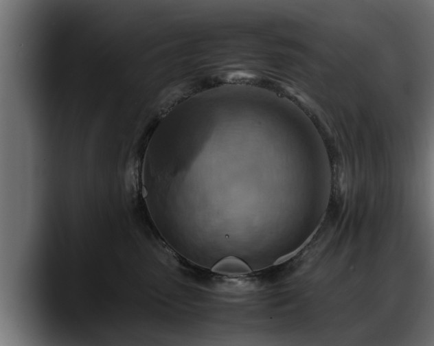 X0000088360475200705291311