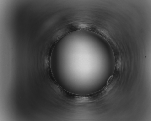 X0000088360476200705291311