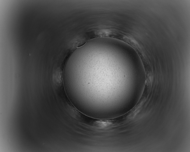 X0000088360477200705291311