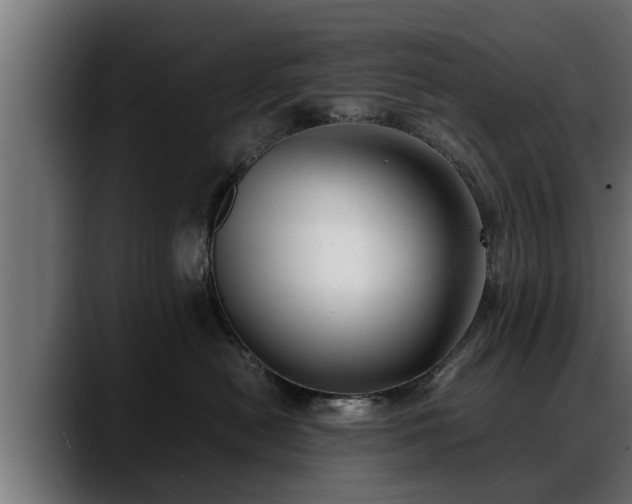 X0000088360478200705291311