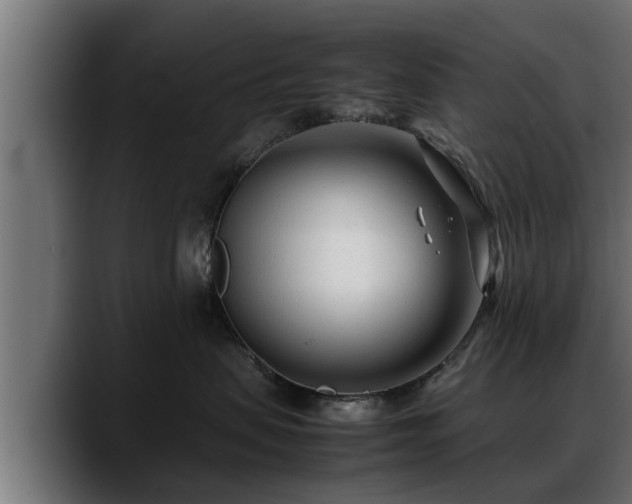 X0000088360479200705291311