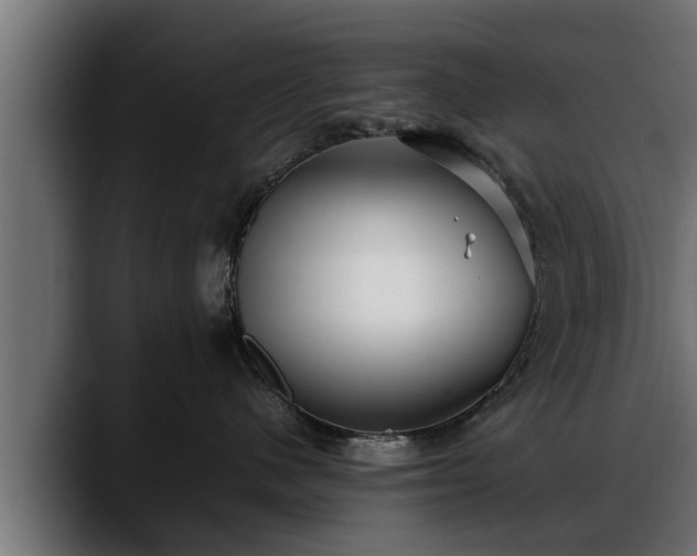 X0000088360480200705291311