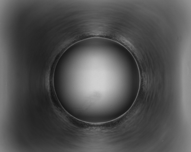 X0000088360482200705291310