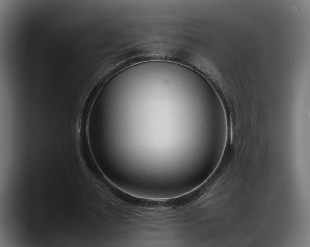 X0000088360483200705291310