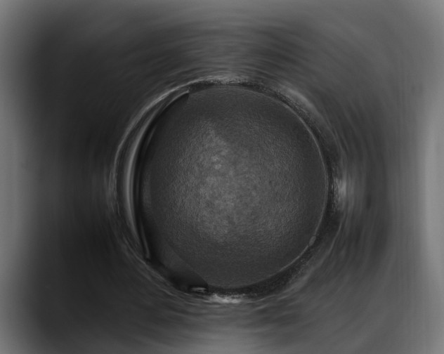 X0000088360484200705291310