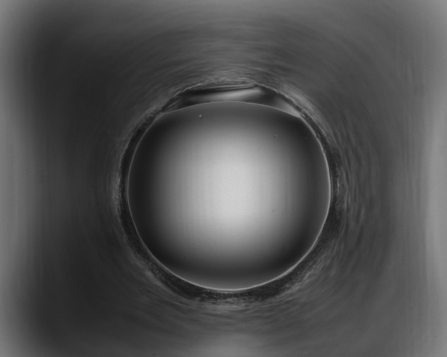 X0000088360485200705291310