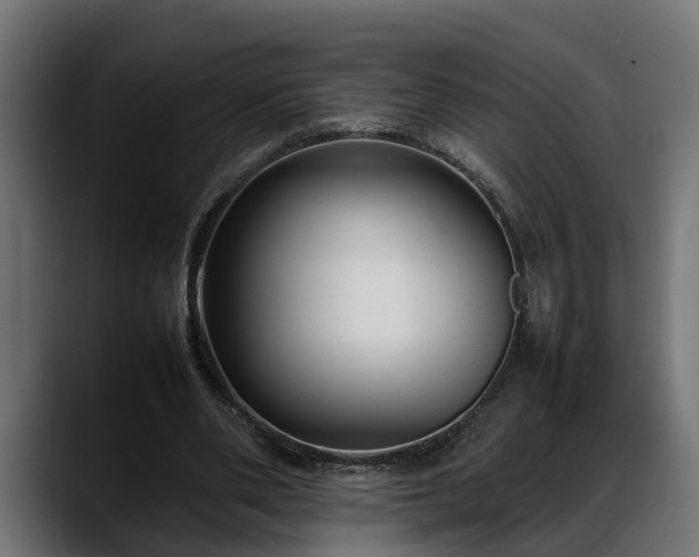 X0000088360486200705291310