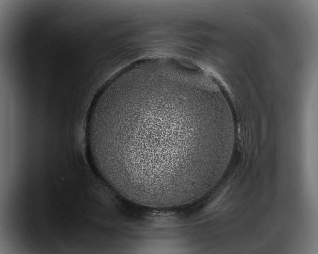 X0000088360487200705291310