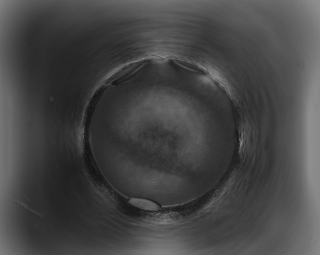 X0000088360488200705291310