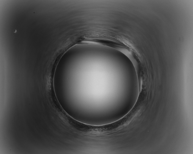 X0000088360489200705291310