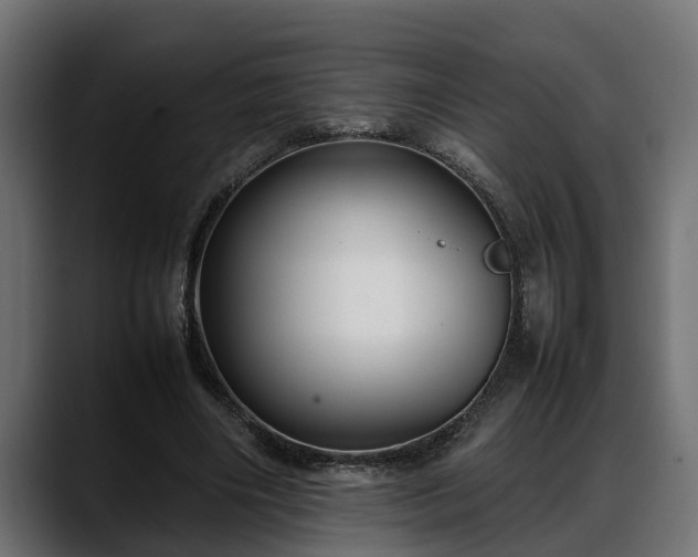 X0000088360490200705291310