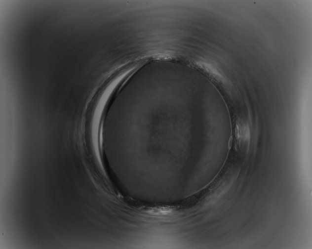 X0000088360492200705291310