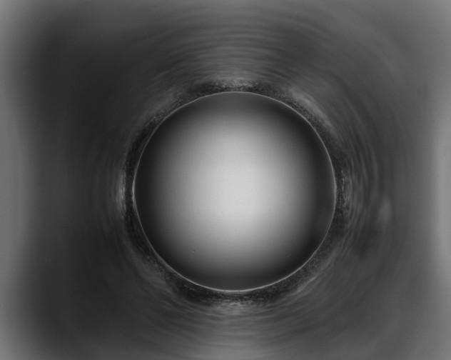 X0000088360494200705291310