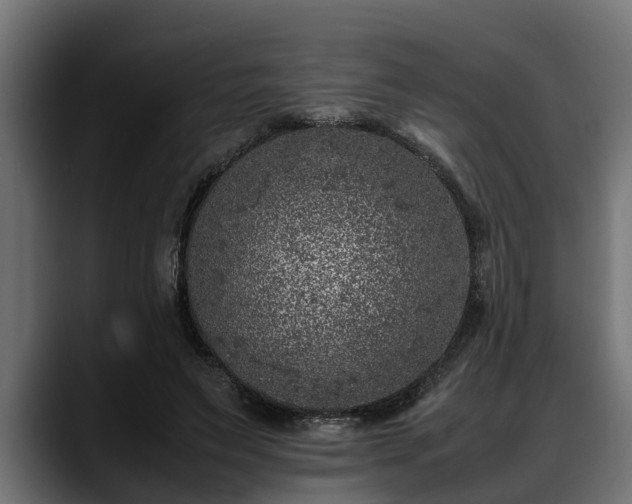 X0000088360495200705291310