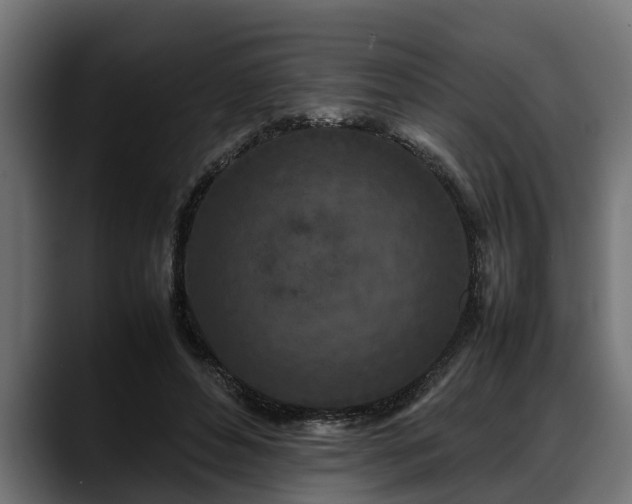 X0000088360496200705291310