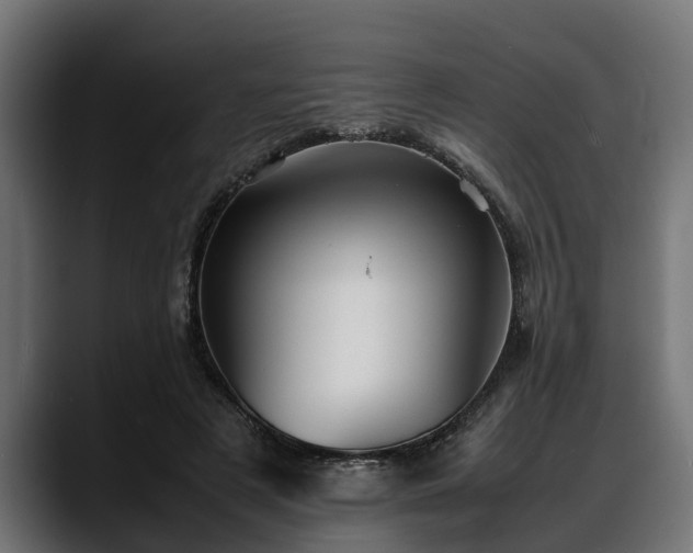 X0000088360497200705291310