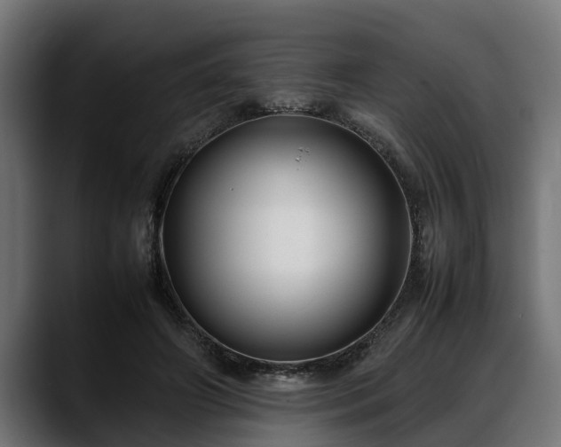 X0000088360498200705291310