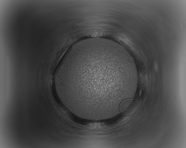 X0000088360499200705291310