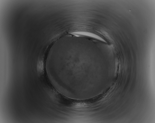 X0000088360500200705291310