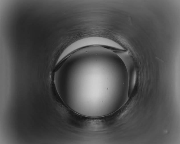 X0000088360501200705291310