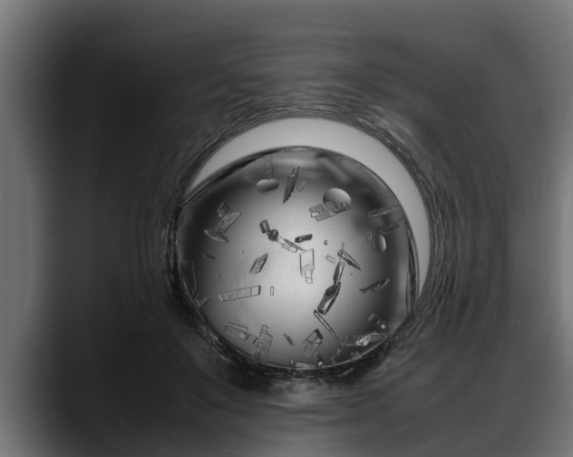 X0000088360503200705291310
