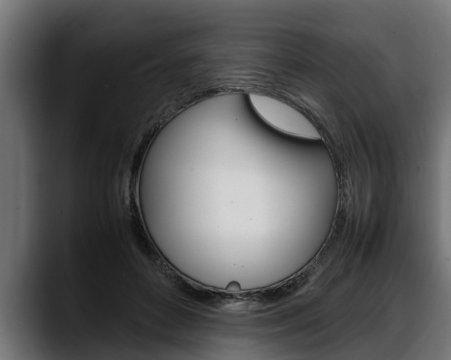 X0000088360504200705291310