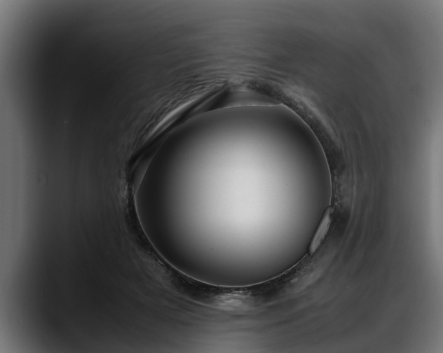 X0000088360505200705291310