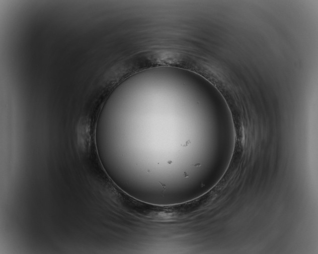 X0000088360506200705291310