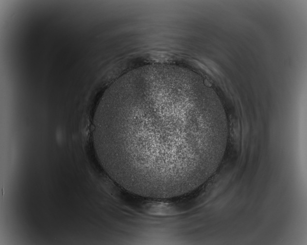 X0000088360507200705291310