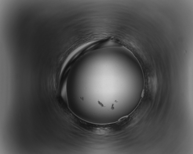 X0000088360508200705291310