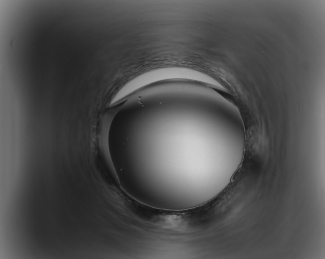 X0000088360509200705291310