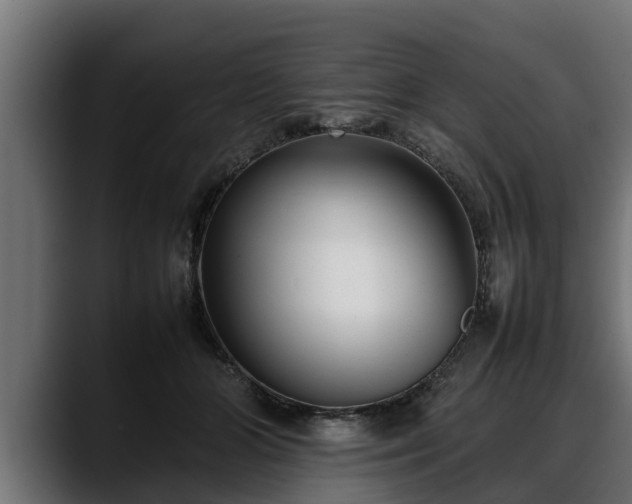 X0000088360510200705291310