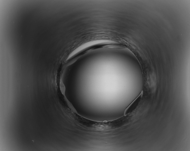 X0000088360512200705291310