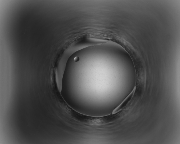 X0000088360513200705291310