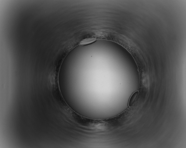 X0000088360514200705291310